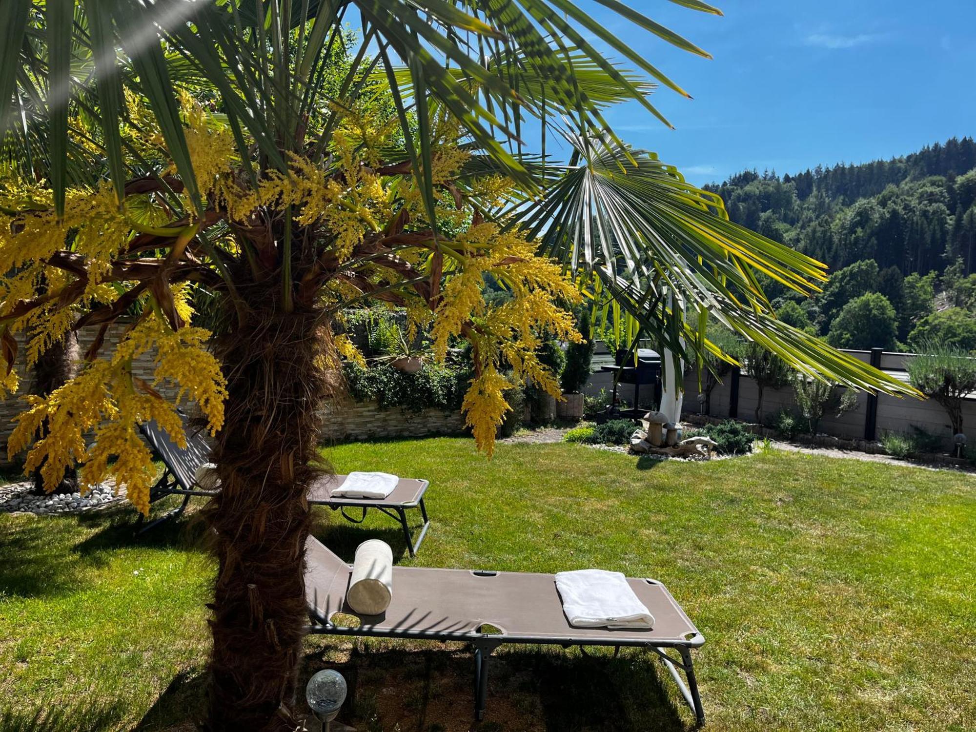 Wellness Fewo Szymecki Schonau  Esterno foto